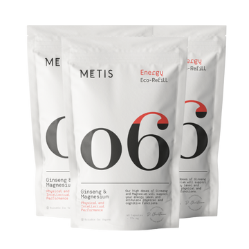 Métis Energy 06