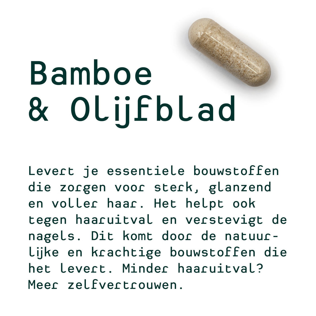 Metis Personalised Van Daria (bambou et lame d'olive, lactobacillus, digest)