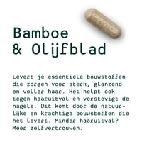 Metis Personalised Van Wendy (ginseng, bambou et lame d'olive, lactobacillus)