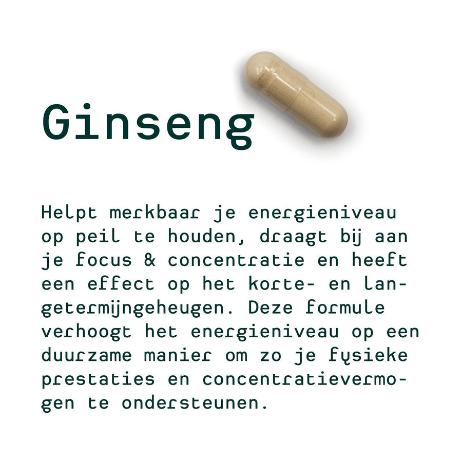 Metis Personalised van Inne (Ginseng, Bamboo & Olive Blad, Lactobacillus)