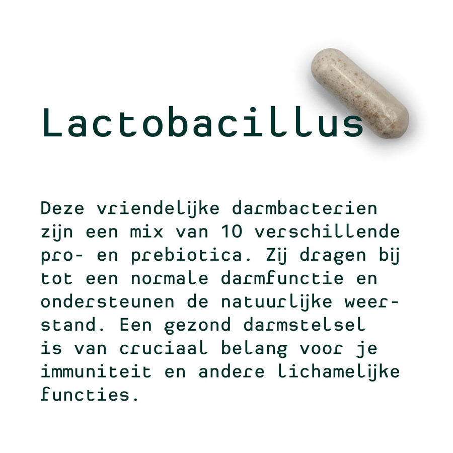 Metis Personalised Van Debby (ginseng, valériane et mélatonine, Lactobacillus)