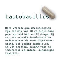 Metis Personalised Van Katrien (ginseng, valériane et mélatonine, lactobacillus)